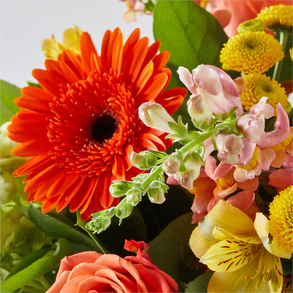 Autumn Sunshine Bouquet –  Creative Florist, Cherry Valley MA