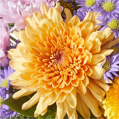 Countryside Bouquet –  Creative Florist, Cherry Valley MA