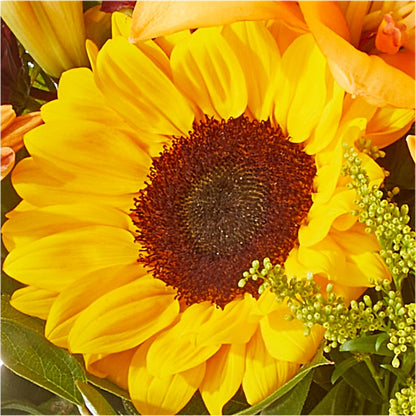 Seasons Change Bouquet –  Creative Florist, Cherry Valley MA