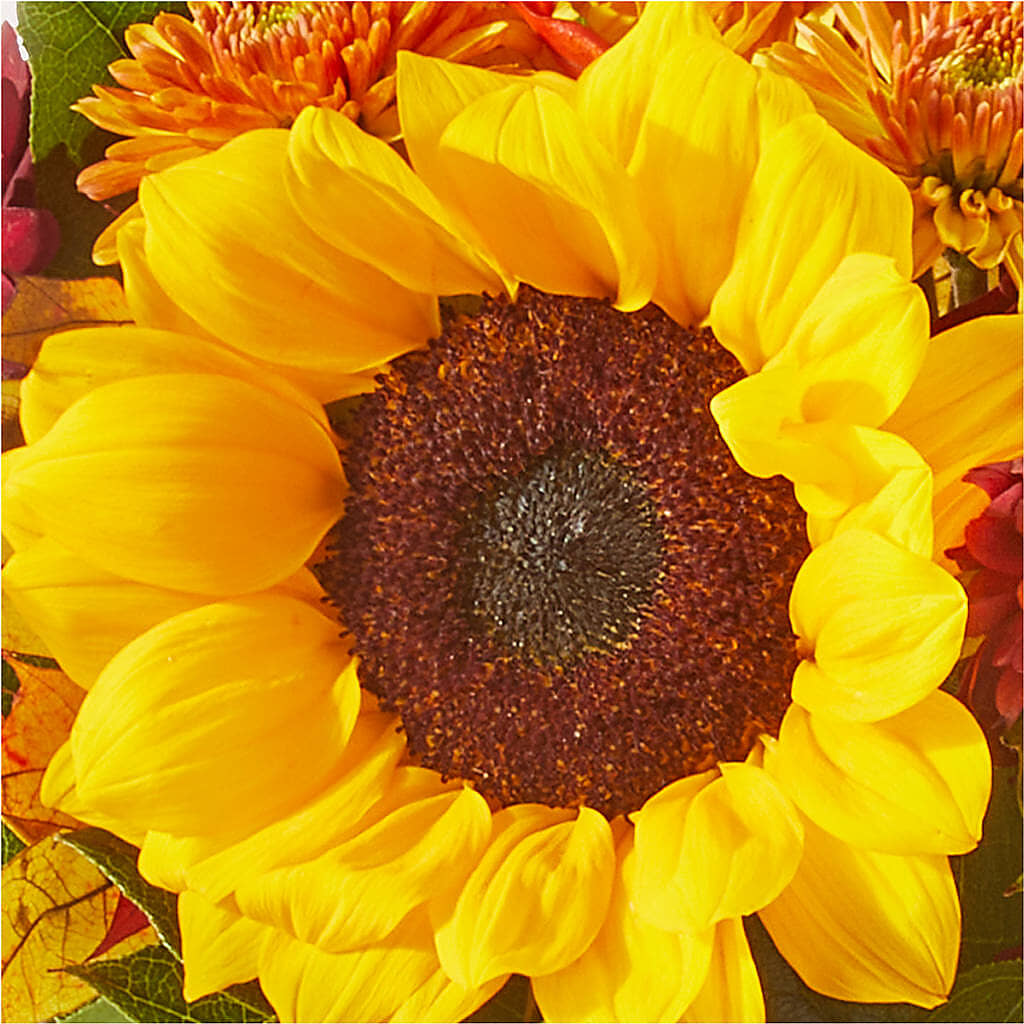 Sunny Side Bouquet –  Creative Florist, Cherry Valley MA