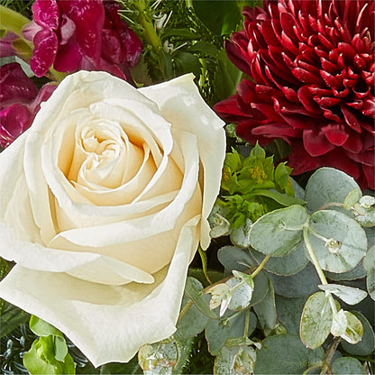 Cranberry Fizz Bouquet –  Creative Florist, Cherry Valley MA