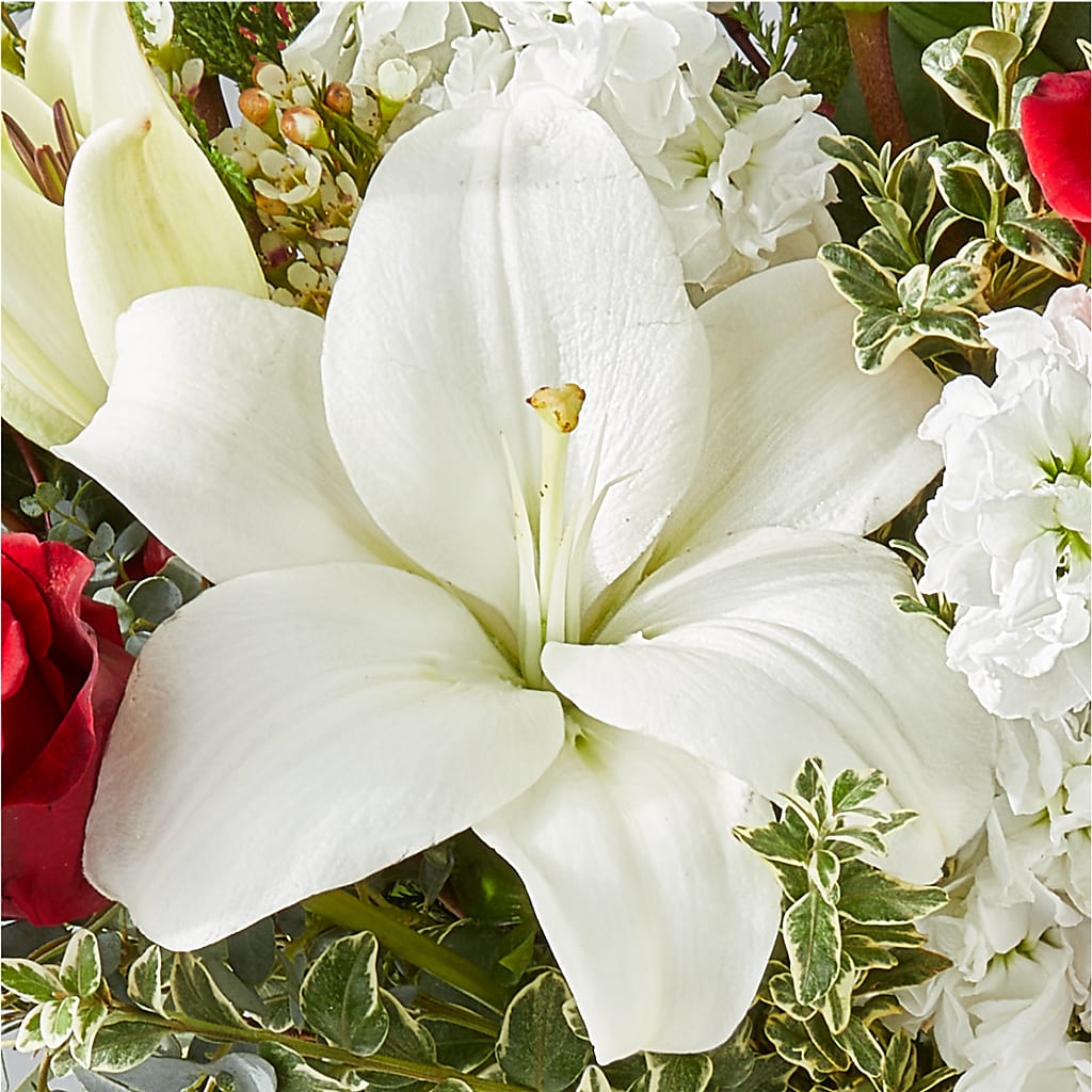 Twinkle Lights Bouquet –  Creative Florist, Cherry Valley MA
