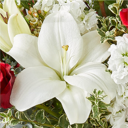 Twinkle Lights Bouquet –  Creative Florist, Cherry Valley MA