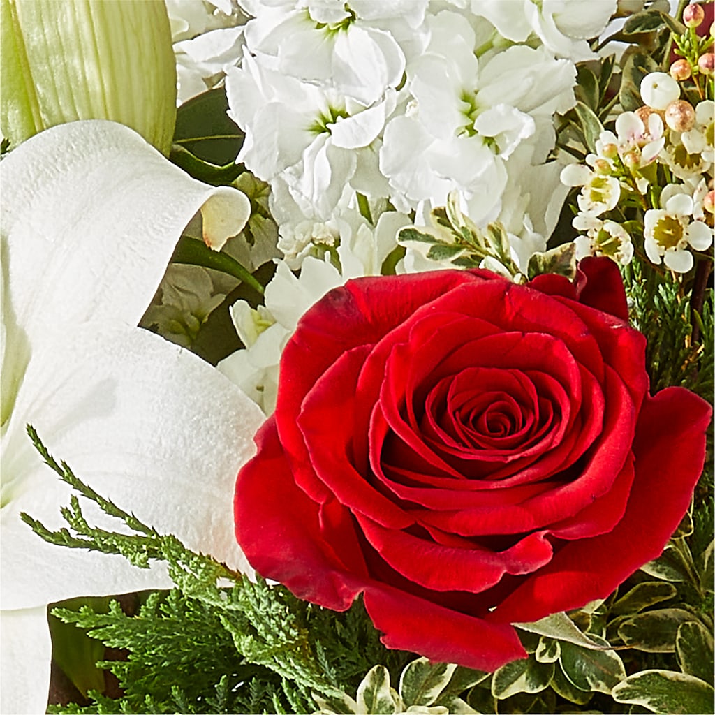 Twinkle Lights Bouquet –  Creative Florist, Cherry Valley MA
