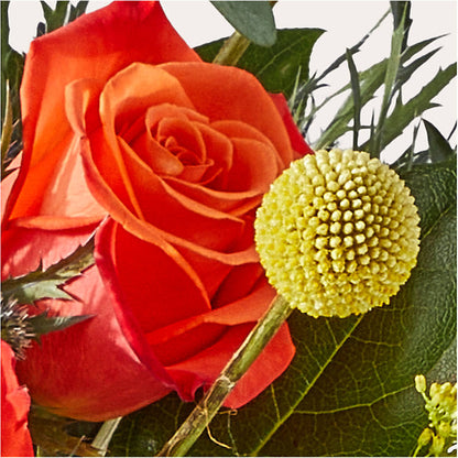 Disco Bouquet –  Creative Florist, Cherry Valley MA
