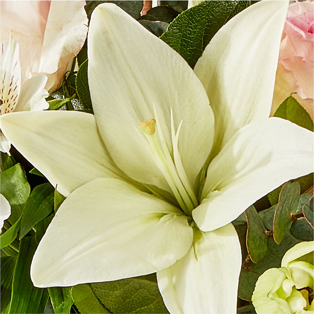 Ballet Slippers Bouquet –  Creative Florist, Cherry Valley MA