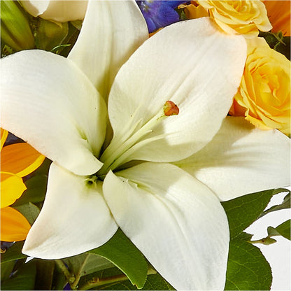 Wonderfully Sunny Bouquet –  Creative Florist, Cherry Valley MA