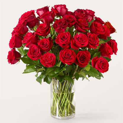 The One Red Rose Bouquet –  Creative Florist, Cherry Valley MA
