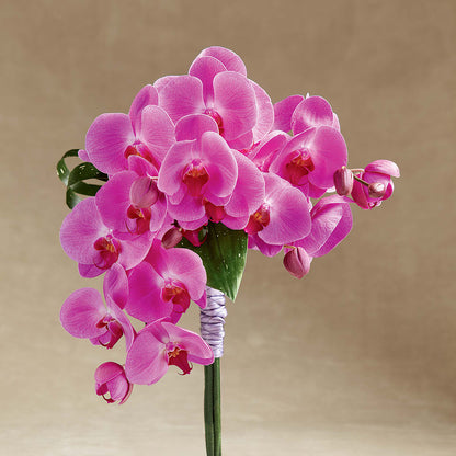 Glorious Bouquet –  Creative Florist, Cherry Valley MA