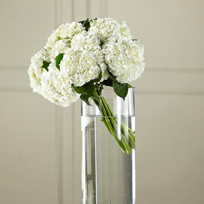 White Hydrangea Hand-Tied Bouquet –  Creative Florist, Cherry Valley MA