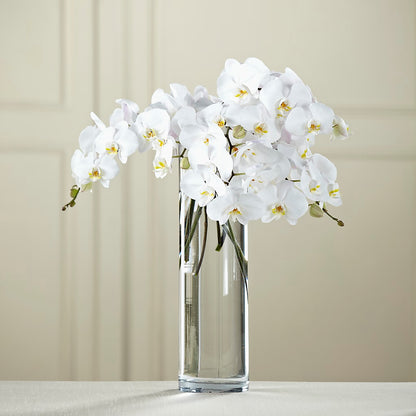 White Phalaenopsis Bouquet –  Creative Florist, Cherry Valley MA