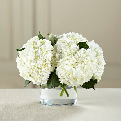White Hydrangea Bouquet –  Creative Florist, Cherry Valley MA